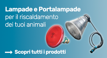  Lampade e Portalampade